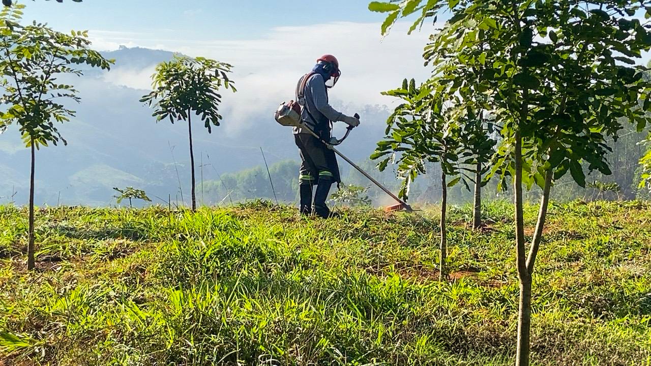 Viveiro de mudas e soluções ambientais da Siriema Ambiental